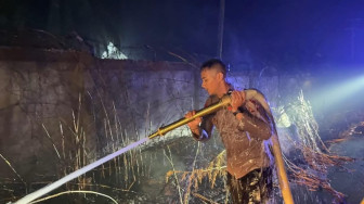 Personel Batalyon A Pelopor Satbrimob Polda Jambi Padamkan Karhutla di Sungai Bertam